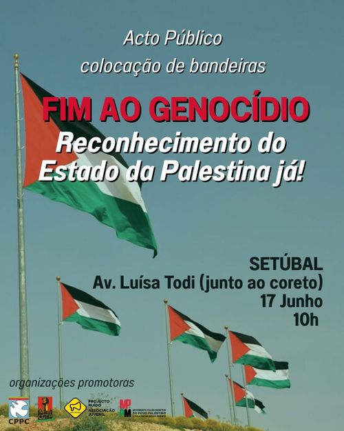 Bandeiras pela Palestina
