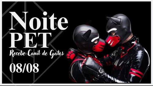 Noite Pet: Recebe Canil De Gatos